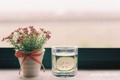 上班族在冬天該如何喝水